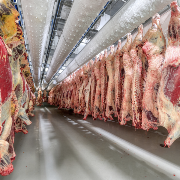 2brothers best commercial refrigeration systems poole
